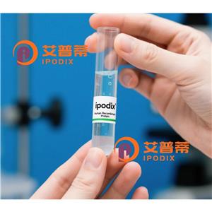 VCP抗体,Mouse Monoclonal VCP Antibody