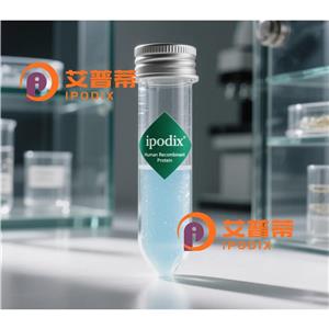 NEDD9抗体,Mouse Monoclonal NEDD9 Antibody