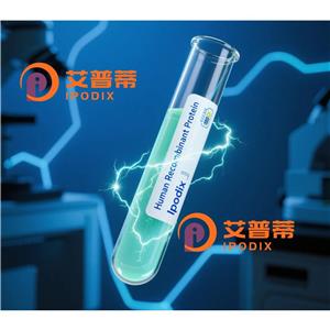ACADM抗體;ACADM Antibody—艾普蒂