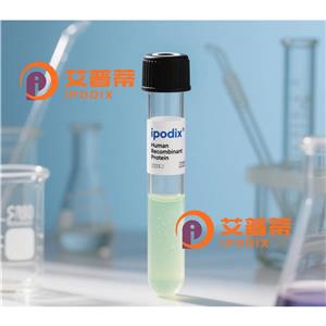 ABCF1抗體;ABCF1 Antibody—艾普蒂