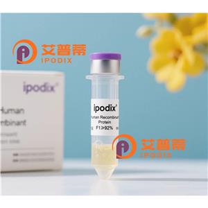 AMIGO2抗體,Rabbit Polyclonal AMIGO2 Antibody