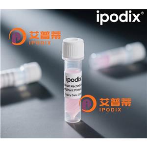 APOBEC4抗體,Rabbit Polyclonal APOBEC4 Antibody