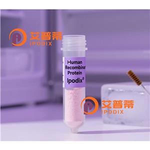 GK抗體,Rabbit Polyclonal GK Antibody