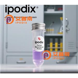 MYOT抗體,Rabbit Polyclonal MYOT Antibody