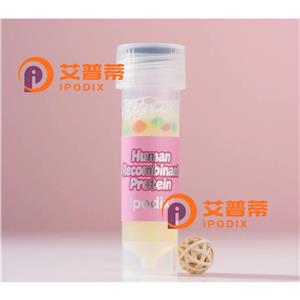 PFDN6抗體,Rabbit Polyclonal PFDN6 Antibody