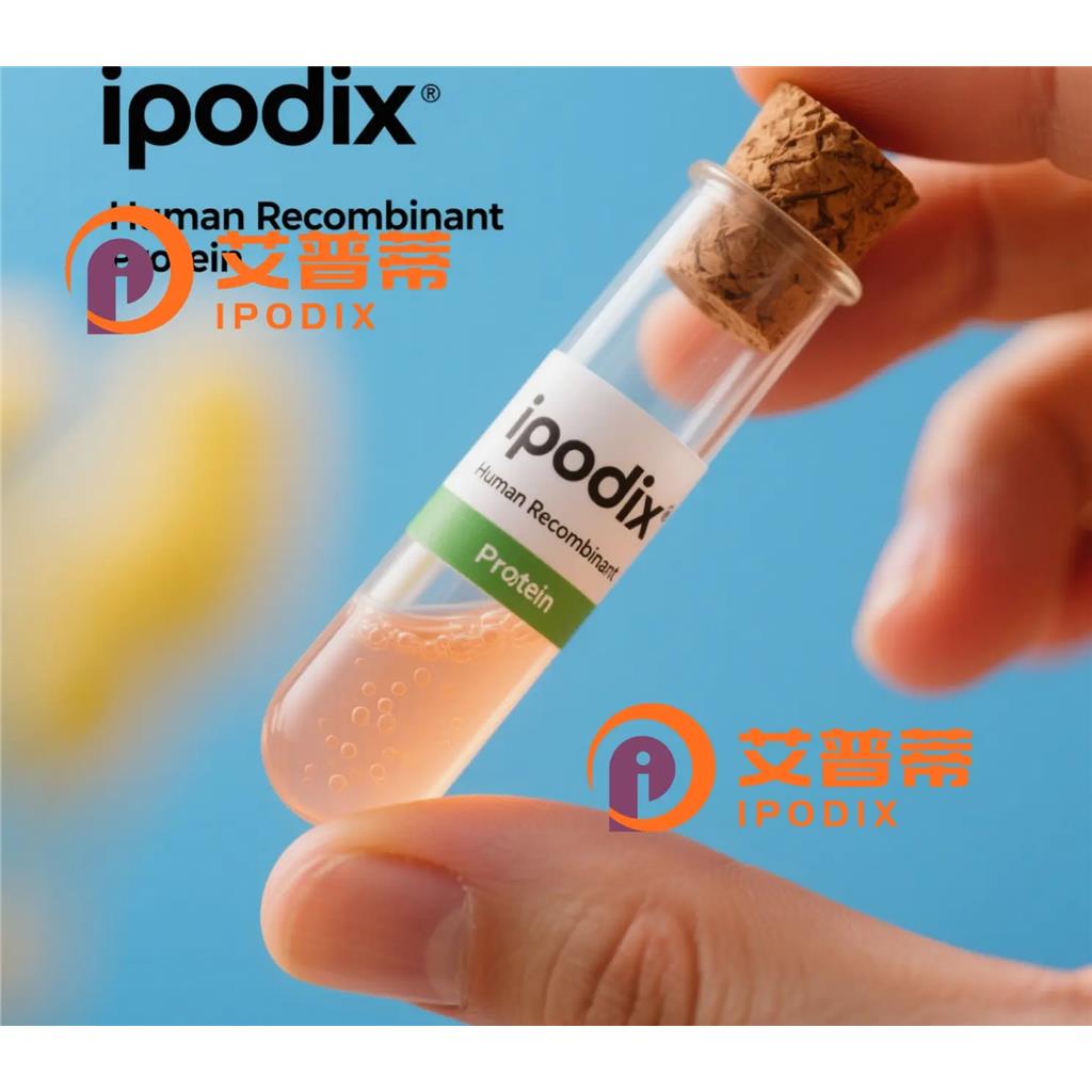 PLA2G4B抗體,Rabbit Polyclonal PLA2G4B Antibody