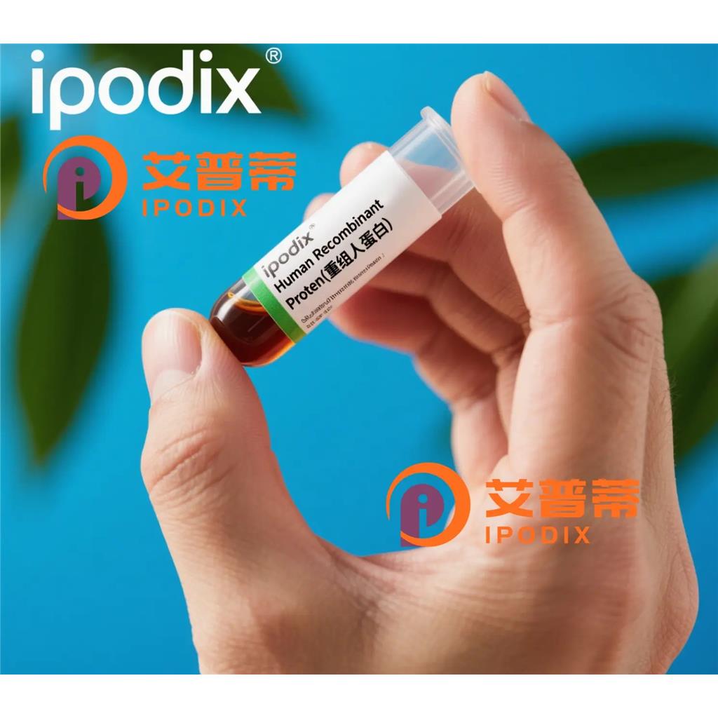 GREB1抗體,Rabbit Polyclonal GREB1 Antibody