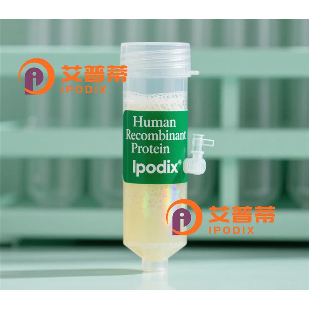 PARP8抗體,Rabbit Polyclonal PARP8 Antibody