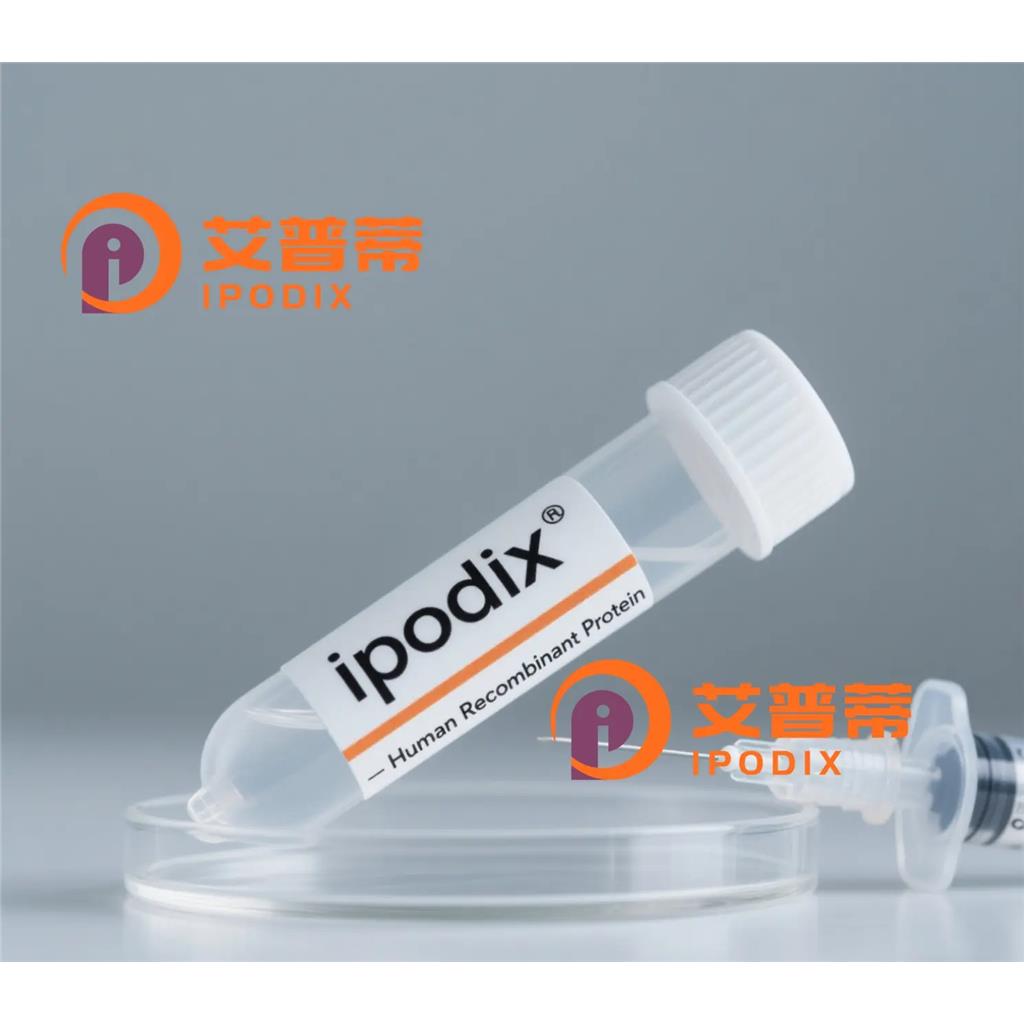 JUNB抗体,Rabbit Polyclonal JUNB Antibody