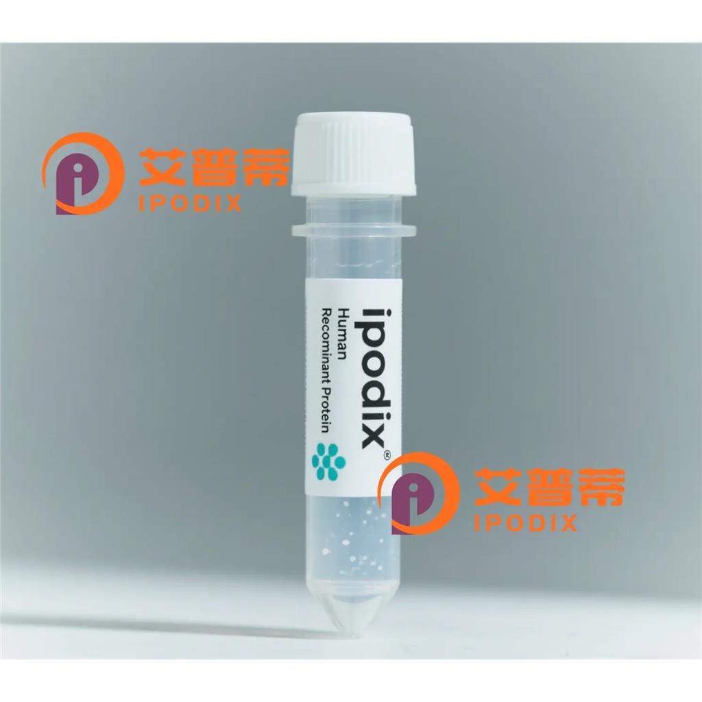 GRM4抗体,Rabbit Polyclonal GRM4 Antibody