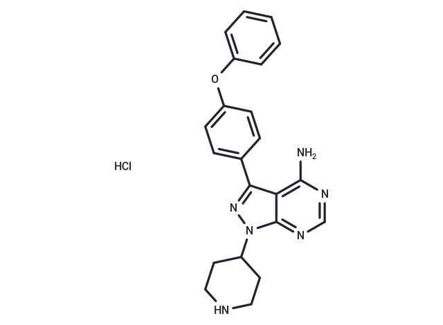 N-piperidine Ibrutinib 鹽酸鹽,N-piperidine Ibrutinib hydrochloride