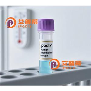 CAV3抗體,Rabbit Polyclonal CAV3 Antibody
