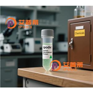 CABLES2抗體,Rabbit Polyclonal CABLES2 Antibody