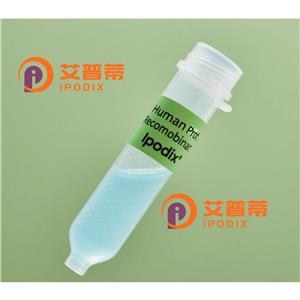 PLA2G4B抗體,Rabbit Polyclonal PLA2G4B Antibody