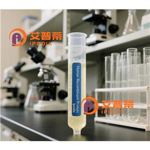 DEFA4抗体,Rabbit Polyclonal DEFA4 Antibody