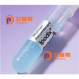 IL17D抗體,Rabbit Polyclonal IL17D Antibody