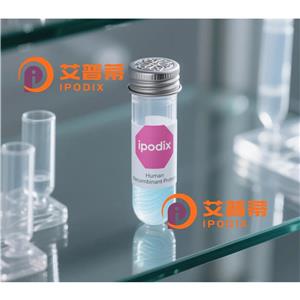 IMPDH1抗体;IMPDH1 Antibody—艾普蒂