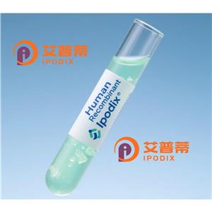 CXCR4抗体;CXCR4 Antibody—艾普蒂