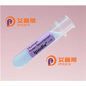ACKR3抗體,Rabbit Polyclonal ACKR3 Antibody