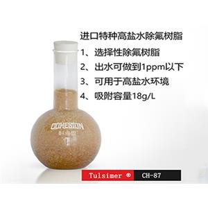 半導(dǎo)體廢水除氟離子交換樹(shù)脂系統(tǒng)