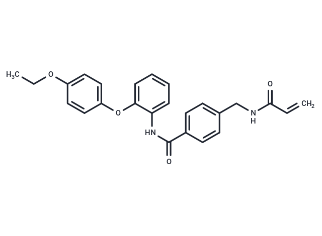 化合物 EN4 MYC inhibitor,EN4