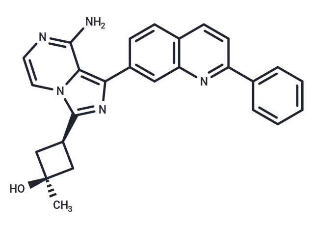 林西替尼,Linsitinib