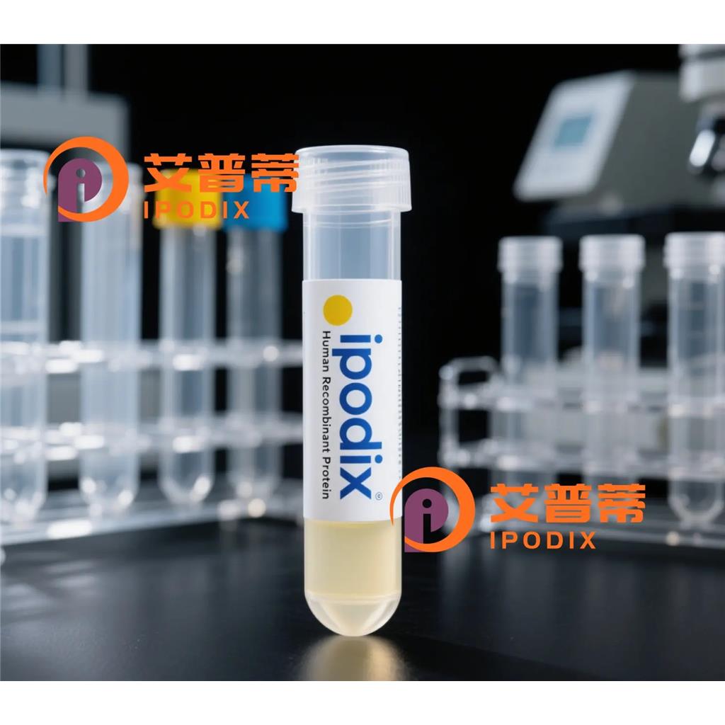 UBQLN2抗體,Rabbit Polyclonal UBQLN2 Antibody