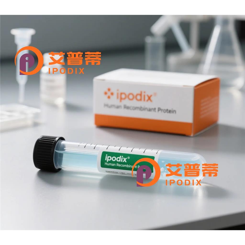 CLN5抗體,Rabbit Polyclonal CLN5 Antibody