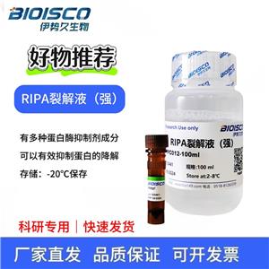 RIPA裂解液（强）,RIPA lysate (strong)
