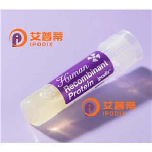 WDSUB1抗体,Rabbit Polyclonal WDSUB1 Antibody