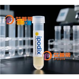 UBQLN2抗體,Rabbit Polyclonal UBQLN2 Antibody