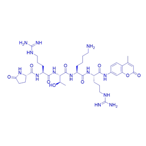 荧光底物肽Pyr-RTKR-AMC/1255501-99-5（TFA）；155575-02-3/Pyr-RTKR-AMC