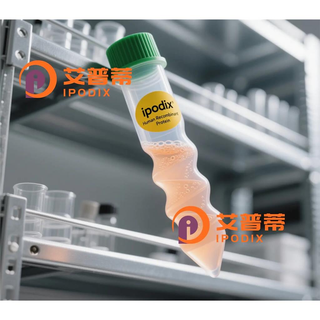 FERD3L抗体,Rabbit Polyclonal FERD3L Antibody