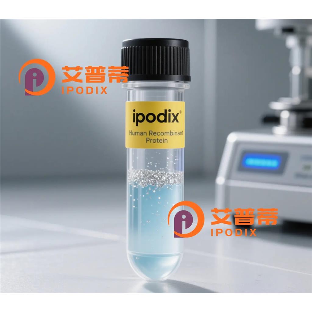 FOXI1抗体,Rabbit Polyclonal FOXI1 Antibody
