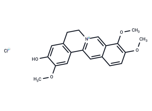 盐酸药根碱,Jatrorrhizine chloride