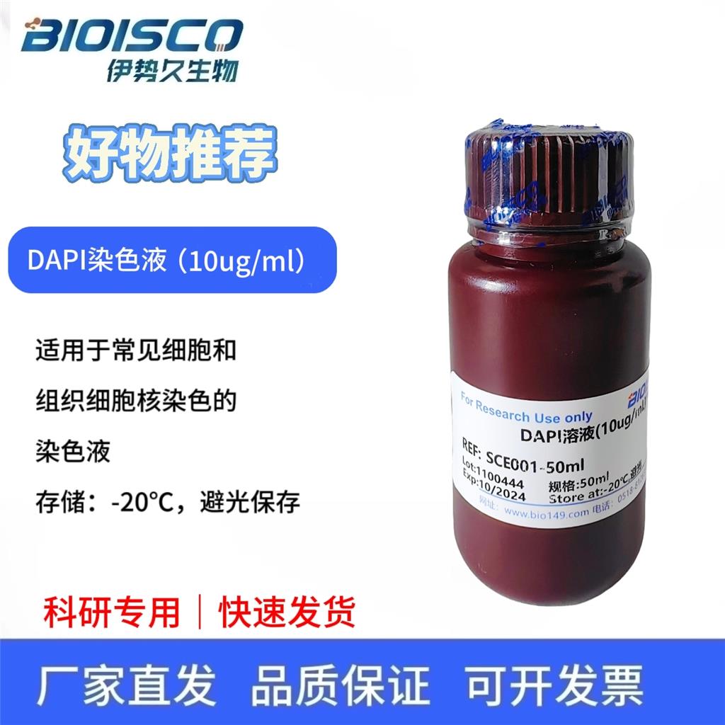 DAPI染色液(10ug/ml),DAPI staining solution (10ug/ml)