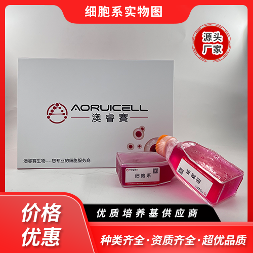 ASPC-1/GEM（人转移胰腺腺癌细胞吉西他滨耐药株）,ASPC-1/GEM
