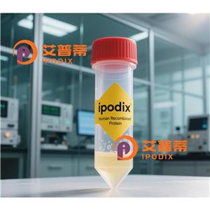 CARD16抗体,Rabbit Polyclonal CARD16 Antibody