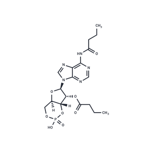 化合物 Bucladesine|T20214|TargetMol