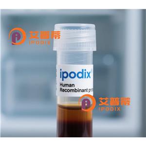 IL16抗体,Rabbit Polyclonal IL16 Antibody