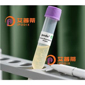 CPSF2抗体,Rabbit Polyclonal CPSF2 Antibody