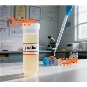 CNOT6抗体,Rabbit Polyclonal CNOT6 Antibody