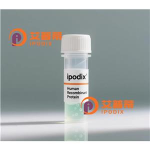 FERD3L抗体,Rabbit Polyclonal FERD3L Antibody