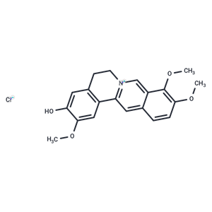 盐酸药根碱,Jatrorrhizine chloride