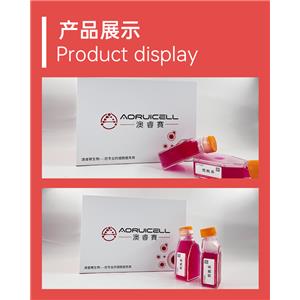 Sf21（昆虫卵巢细胞）