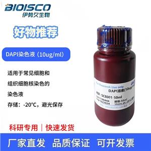 DAPI染色液(10ug/ml)