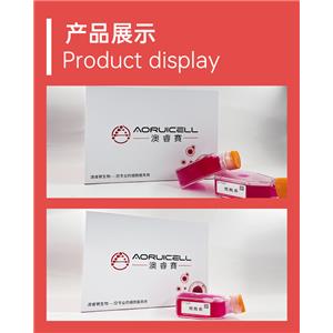 人甲状旁腺细胞永生化