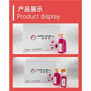 MOPC315（小鼠B淋巴母細(xì)胞瘤細(xì)胞）