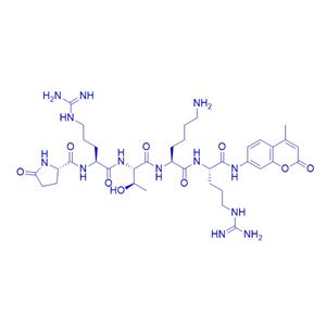 Pyr-Arg-Thr-Lys-Arg-AMC/155575-02-3/熒光底物肽Pyr-RTKR-AMC