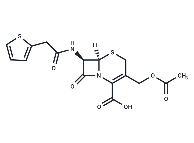 頭孢噻吩,Cephalothin